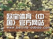 种植基地七