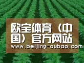 种植基地六
