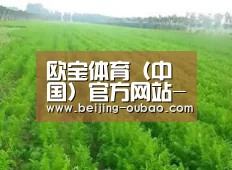 种植基地四