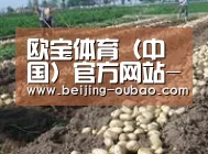 种植基地八